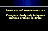 ŠIUOLAIKINĖ BIOMECHANIKA Žmogaus biosignalų taikymas … · 2017-08-30 · Žmogaus biosignalų taikymas bioninio protezo valdymui. ... • Bionika ir dirbtiniai organai –Technologijos