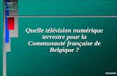 TNT Communauté Française de Belgique · QUne offre attrayante pour le consommateur et rentable pour les diffuseurs (public, privés, à payage, …) QLa constitution d’une société
