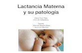 Lactancia Materna y su patología - Docencia Rafalafena · 2019-07-09 · Grietas • Aparecen en los primeros días. • Consecuencia de técnica incorrecta (+), frenillo lingual