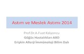 Astım ve Meslek Astımı 2014 - Hacettepe Üniversitesi · TANIM •Kronik hava yolu inflamasyonu ve bronş hiperreaktivitesi ile karakterize, reverzibl hava yolu ... ürtiker, anjioödem