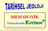 MESOZOYİK Triyas-Jurasik-Kretasejeoloji.deu.edu.tr/wp-content/uploads/2019/11/Tarihsel_7...Rusya’dan Baltık ülkelerinin doğusuna ilerler, ve Kafkasya’dan Akdeniz’le birleşir.
