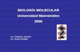 BIOLOGÍA MOLECULAR Universidad Maimónides 2006weblog.maimonides.edu/biologia/archives/clase1.pdfEstructura del ADN Cada molécula de ADN está formada Por dos largas cadenas de polinucleótidos