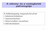 A vékony- és a vastagbelek pathologiájausers.atw.hu/aokszote/download.php?fname=./02] PREKLINIKAI MODUL/patologia/masodik...• Atresia oesophagi • Rekeszsérv • Stenosis pylori