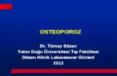 OSTEOPOROZ · Osteoporoz Sınıflaması ... inme ve meme kanserinin toplam insidansından daha fazladır. 0 400 800 1200 1600 osteoporotik kırıklar me x1000 kalb krizi inme meme