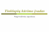 Tinklapių kūrimo įvadasgabija.simnet.lt/it/Tinklapiu.pdf · 2017-10-06 · •Lietuviško interneto gimimo diena laikoma 1991 m. spalio 10, kuomet ant Seimo buvo įrengta norvegų