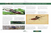 Hirschkäfer – Insekt des Jahres 2012ädagogik.de/pdf/produkte/methoden...Hirschkäfer, die Riesen der heimischen Insektenwelt, sind Hingucker und auch deshalb ein geeignetes Thema