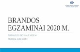 BRANDOS EGZAMINAI 2020 M. · geografijos, informacinių technologijų, istorijos, matematikos, užsienio kalbų (anglų, prancūzų, rusų, vokiečių) brandos egzaminai, ... kai