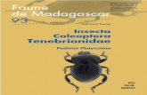 Insecta Coleoptera Tenebrionidae - IRDhorizon.documentation.ird.fr/exl-doc/pleins_textes/...médicale, professeur de biologie animale à la faculté des sciences d’Antananarivo.