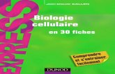 Biologie cellulaire en 30 fichesBiologie cellulaire en 30 fiches FICHE 4 1 Les plans d’organisation cellulaire I La cellule, unité structurale et fonctionnelle du vivant Tous les