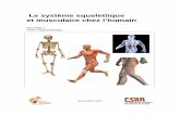 Le système squelettique - TICFGA · connaissances actuelles en anatomie et physiologie humaine sont beaucoup plus vastes que le contenu de ce guide d’apprentissage. Toutefois,