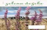 Glasilo Kmetijsko gozdarske zbornice Slovenije št. …...ne pRezRite V sredo, 17. avgusta 2016, se za-ključuje 2. javni razpis Pomoč za zagon dejavnosti za mlade kmete. Vse mlade