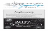 Neujahrsempfang · 2017-01-16 · Nr. 2 12. Januar 2017 Neujahrsempfang der Stadt Gammertingen Wir möchten Sie, verehrte Bürgerinnen und Bürger wieder zum traditionellen Neujahrsempfang