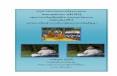 กลุ มสาระการเร ียนรสู ังคม ...chiangdao.ac.th/cdwweb/research/surapon_abs.pdf · 2013-12-17 · กลุ มสาระการเร
