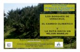 LOS BOSQUES DE VERACRUZ, EL CAMBIO CLIMÁTICO Y LA RUTA ... forestal/documentos/2 Bosques de... · pasó de 1 millón de has. anuales a fines de siglo, a 336,500 en 2002, a 260,400