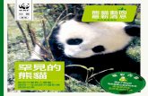 罕見的 - Pandaawsassets.wwfhk.panda.org/downloads/wwf_animal_updates_issue9__panda... · 秦嶺竹子的主要品種為冷箭竹、柺棍竹和木竹。在 春天大熊貓交配的季節，牠們會進食含豐富氮和
