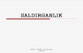 SALDIRGANLIK - Adnan Menderes University · 2014-04-21 · Evrimsel sosyal psikoloji (Sosyobiyoloji) Karmaık sosyal davranılar uyum sağlayıcıdır ve bireye, yakınlarına ve