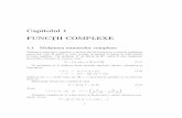 Capitolul 1 FUNCT¸II COMPLEXEmedia1.webgarden.ro/files/media1:4c88c301ef045.pdf.upl... · 2010-09-09 · Capitolul 1 FUNCT¸II COMPLEXE 1.1 Mult¸imea numerelor complexe Mult¸imea