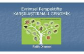 Evrimsel Perspektifte KARŞILAŞTIRMALI GENOMİKyunus.hacettepe.edu.tr/~mergen/sunu/s_evrimsel_genomik.pdf · 2011-11-04 · Evrimsel Analiz Karşılaştırmalı genomik ile yapılabilecek