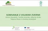 Anton Zavodnik, Tončka Jesenko, Alberta Zorko Tatjana ...¹na.pdf · Pravne podlage, ki opredeljujejo varstvo zavarovanih prostoživečih živalskih vrst oz. možnost poseganja vanje