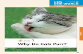 Why Do Cats Purr?33 Why Do Cats Purr? /HVVRQ 3 purr [cRPF] 教科書紙面紹介 教科書紙面 21