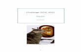 Challenge SSTIC 2015static.sstic.org/challenge2015/solutions/olivier_galliez.pdf · 2015-04-22 · 4 Résumé Le Challenge SSTIC 2015 consiste à analyser la carte microSD qui était