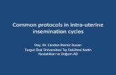Common protocols in intra-uterine insemination cycles · Common protocols in intra-uterine insemination cycles Doç. Dr. Candan İltemir Duvan Turgut Özal Üniversitesi Tıp Fakültesi