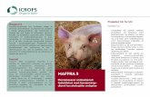 Projektet trin for trin · i større skala og til anvendelse i praktisk økologisk griseproduktion. MAFFRA II skal bidrage til grøn bæredygtighed via nye bioaktive afgrøder og