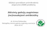 Mėsinių galvijų auginimas - EFSAefsa.vmvt.lt/content/uploads/2016/10/Arunas-Rutkauskas... · 2016-10-28 · •Profilaktinė dezinfekcija ir dehelmintizacija. •Palaikoma švara