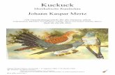 ALi-bi(z) - Kuckucklievens.biz/gitaar/sheet/mertz_kuckuck_I.pdf · 2019-11-27 · Johann Kaspar Mertz Johann Kaspar Mertz, Oostenrijk, ° 17 augustus 1806, † 14 oktober 1856 ֎