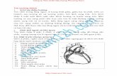 ưở 1. trí và chi h ng a hai lá phổi, trên cơvietnam12h.com/pdf/17-tim-truong-thanh.pdf · Mặt trước liên quan với phổi, màng phổi, động mạch vú trong,