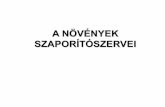 A NÖVÉNYEK SZAPORÍTÓSZERVEInovszerv.elte.hu/oktatas/novszerv/201011/II/9_szapszerv.pdfA NÖVÉNYEK KÉTSZAKASZOS EGYEDFEJLŐDÉSE „NEMZEDÉKVÁLTAKOZÁS”-ÁLTALÁNOS NÖVÉNYI