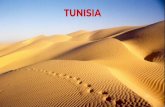 TUNISIA - Kusadasifiles.kusadasi.ro/PREZENTARI DESTINATII/PREZENTARE TUNISIA.pdf · Opțional: Plimbare cu cămila; nu este inclusă in pachet (tarif 10 EUR / pers). Amﬁteatrul