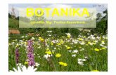Ict5 P-1 BOTANIKA · Botanika = je věda o rostlinách Odvětví botaniky: • systematická botanika –popisuje a třídí rostliny do systému • anatomie -zabývá se vnitřní