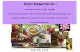 CRDC - Plant Essential Oil 2011/News/Plant Essential Oil.pdfPlant Essential Oil รองศาสตราจารย ดร. อรพ น เก ดช ช น สายว ชาการจด