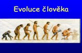 Prezentace evoluce člověka · 2019-08-19 · předka vylučují (Australopithecus habilis?) Ve stejné době žili ve stejném prostoru i další hominidi podobného vzhledu (ale