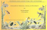 Zusammengestellt von Dipl.-Ing. (FH) Dennis Gräwe · • besondere Eignung als Bioindikator Substrat. Bioindikation. BIOINDIKATION. im aquatischen Bereich im amphibischen Bereich