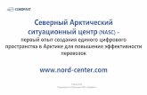 Северный Арктический ситуационный центр (NASC)Северный Арктический ситуационный центр (NASC) - –виртуальная