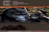 theafricanexperiences.comtheafricanexperiences.com/data/downloads/GUIA_GORILAS5615572618.pdf · Gorila de Llanura Oriental. En el este de la República Democrática del Congo. Gorila