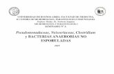 Pseudomonadaceae, Neisseriaceae, Clostridium 3.pdf · clostridium botulinum: diagnÓstico • el diagnÓstico es clÍnico. • sÓlo se realiza el diagnÓstico de certeza en laboratorios