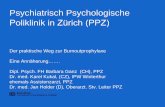 Psychiatrisch Psychologische Poliklinik in Zürich (PPZ) · Home-Treatment, PPZ als Schweizer Modellinstitution ─ Erweiterung des Angebots in Einzel- und Gruppenpsychotherapie mit