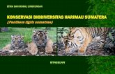 Kondisi Eksisting Harimau Tinjauan Aspek Hukum dan ... · Etika Konservasi Biodiversitas Semua fauna (binatang) di bumi memiliki hak yang sama dengan manusia sebagai sesama umat Tuhan