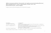 Microvasculaire functie en glucosemetabolisme bij …scripties.umcg.eldoc.ub.rug.nl/FILES/root/geneeskunde/...glucose metabolism in obese patients before and after bariatric surgery.