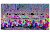 Un concept solide de la biologievieterre.fr/wp-content/uploads/2019/09/theorie_cellulaire.pdf · Principe du Microscope à ﬂuorescence Le microscope fluorescent est un exemple de