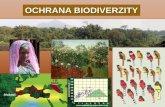 Prezentace aplikace PowerPoint - Univerzita Karlova · 2012-05-31 · Co je biologie ochrany přírody (conservation biology) a čím se zabývá. Biologie ochrany přírody je poslání