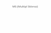 MS (Multipl Skleroz)Multipl_Skleroz).pdf · 2013-09-30 · MS (Multipl Skleroz) Beyin ve omurilikte bir tür iltihabın izlendiği nörolojik hastalıktır. Kelime anlamı olarak