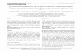 Wegener granulomatosis presented with crescentic glomerulonephritis… Med J-01465.pdf · 2012-12-03 · Wegener granulomatosis presented with crescentic glomerulonephritis: Case
