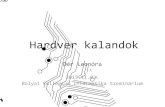 Hardver kalandok - Eötvös Loránd Universitygsd.web.elte.hu/.../2015/Hardware/Hardver-kalandok.pdf · 2019-07-29 · Hardver kalandok Dér Leonóra . 2015.11.03. Bolyai Kollégium