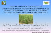 EFFECTIVENESS OF VETIVER GRASS IN ... PROTECTION/13 Ngo...VIGMR –Viện Khoa học Địa chất và Khoáng sản EFFECTIVENESS OF VETIVER GRASS IN PHYTOSTABILIZATION AND/OR PHYTOREMEDIATION
