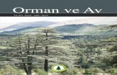 Orman ve Av - ormancilardernegi.org1).pdf · Orman ve Av / Kasım - Aralık 2011 Fotoğraf: Hasan UYSAL Editörden 1 Başyazı: 87 Yılımızı Doldurduk 2 87. Yıl Kutlamaları 5