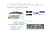 1thienthu.weebly.com/uploads/4/8/6/9/4869850/giao_trinh... · Web viewGIS giúp cho việc quản lý đô thị, giao thông đô thị. Hiện trạng sử dụng đất đô thị